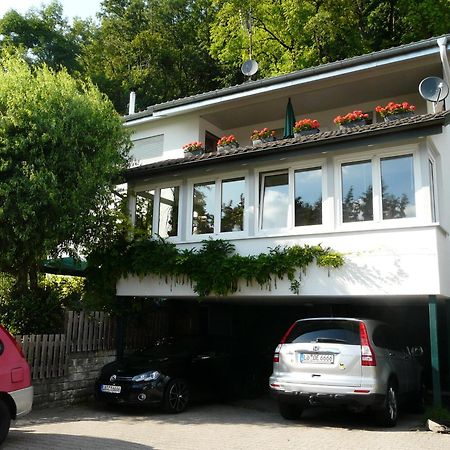 Regio Basiliensis Apartment Гренцах-Вюлен Екстериор снимка