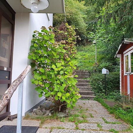 Regio Basiliensis Apartment Гренцах-Вюлен Екстериор снимка