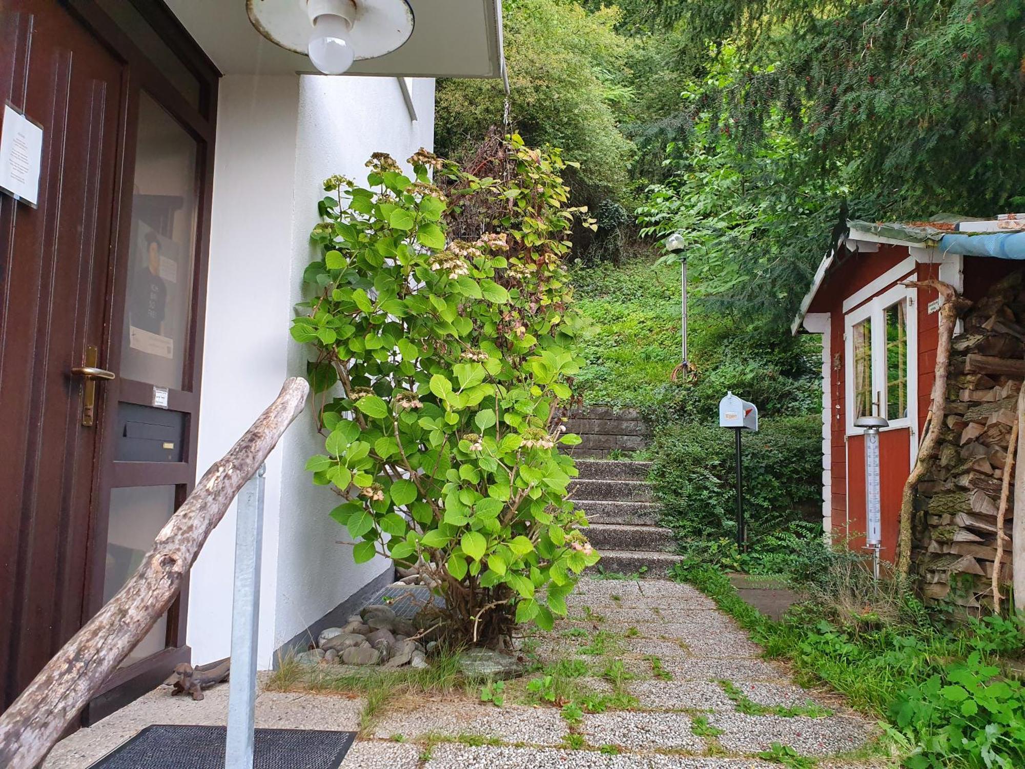 Regio Basiliensis Apartment Гренцах-Вюлен Екстериор снимка